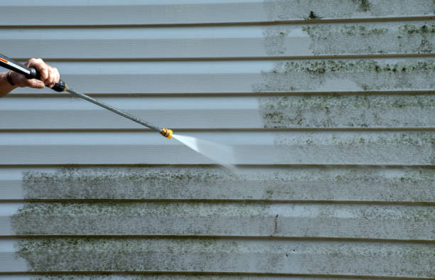 Best Residential Pressure Washing Services  in Jacksonwald, PA