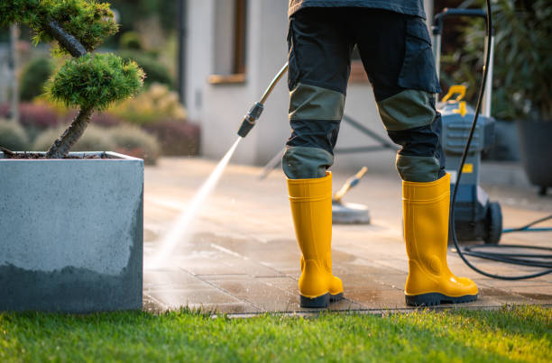 Best Pressure Washing Services Near Me  in Jacksonwald, PA